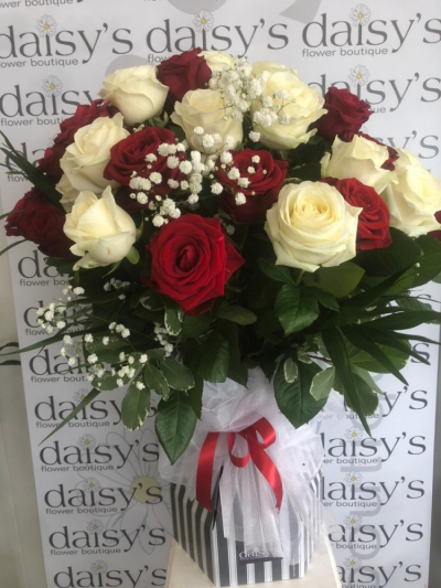 30 Red & White Roses - A gorgeous selection of Luxury long stemed Red Naomi & White Avalanche Roses with gypsophila & foliage. These are presented in a beautiful box or bag finished off with a satin bow.