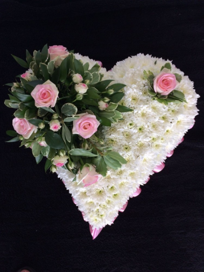 Based Heart - Pale Pink - A beautiful heart tribute. Edged with pale pink ribbon, massed in White Chrysanthemum and a cluster of pale pink Roses & a mixure of flowers & foliages