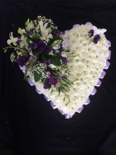 Based Heart - Purple & Lilac - A beautiful heart tribute. Edged with lilac ribbon, massed in White Chrysanthemum and a cluster of purple, lilac and white flowers & foliages
