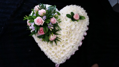 Based Heart - Pink & Lilac - A beautiful heart tribute. Edged with Lilac ribbon, massed in White Chrysanthemum and a cluster of Pale Pink Roses and a mixure of flowers & foliages