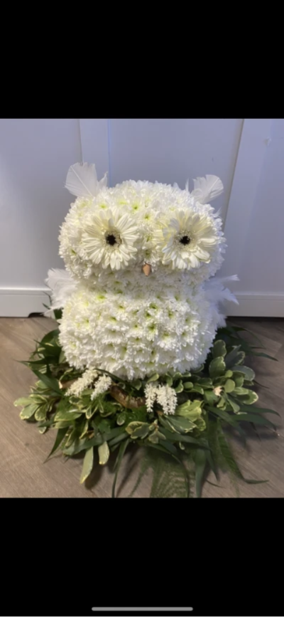 Owl - A cute owl on a log surrounded by foliage Owl - A cute owl on a log surrounded by foliage