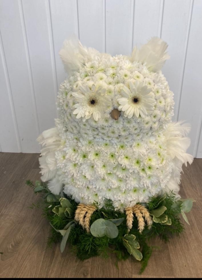 Owl - A cute owl on a log surrounded by foliage