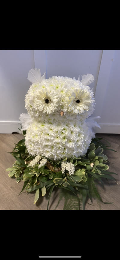 Owl - Cute owl on a log surrounded by foliage Owl - Cute owl on a log surrounded by foliage