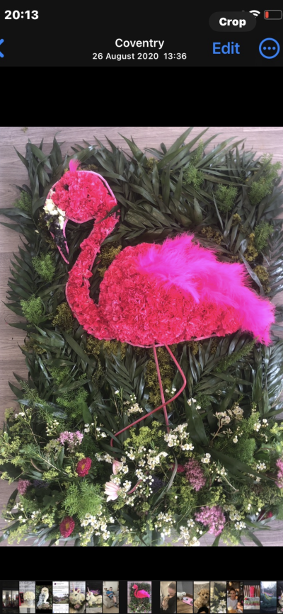 Flamingo - A 2d vibrant pink flamingo picture surrounded by foliage and flowers. Flamingo - A 2d vibrant pink flamingo picture surrounded by foliage and flowers.
