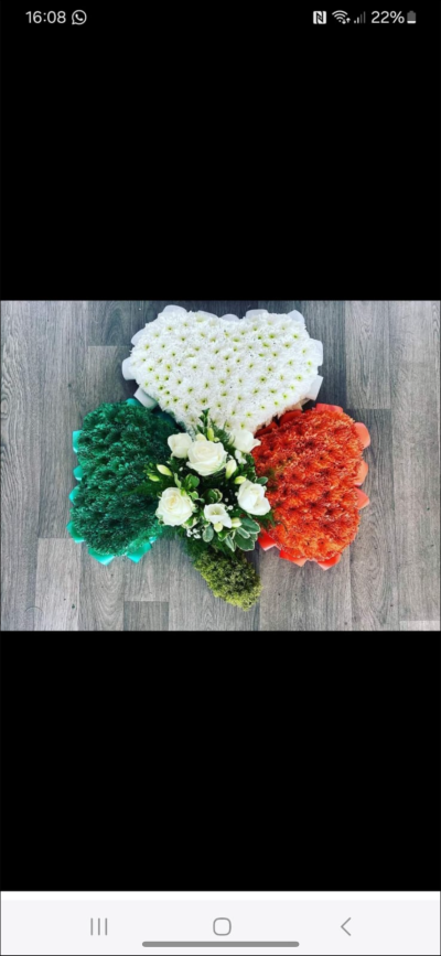 Shamrick - A shamrock in green, white and gold Shamrick - A shamrock in green, white and gold