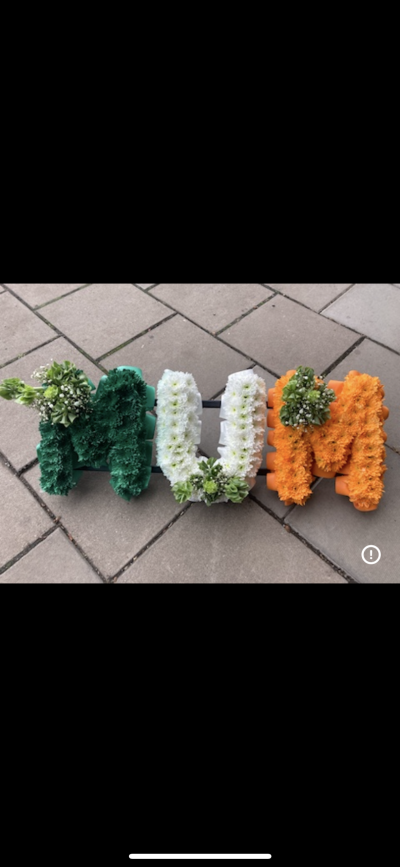 Green, white and gold mum letters - A mum in green , white and gold letters with bells of Ireland (mollucella) in each cluster Green, white and gold mum letters - A mum in green , white and gold letters with bells of Ireland (mollucella) in each cluster