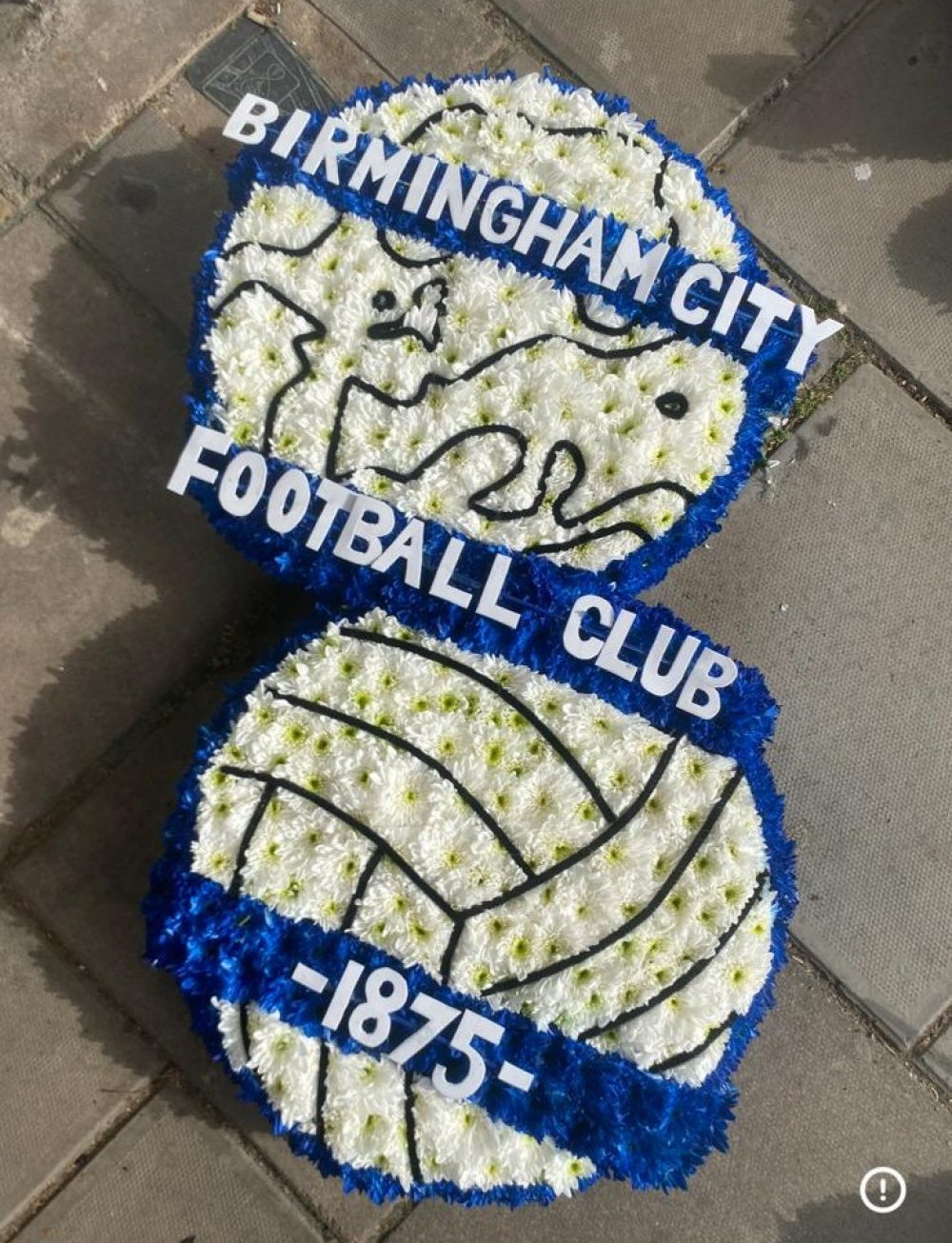 Birmingham city badge