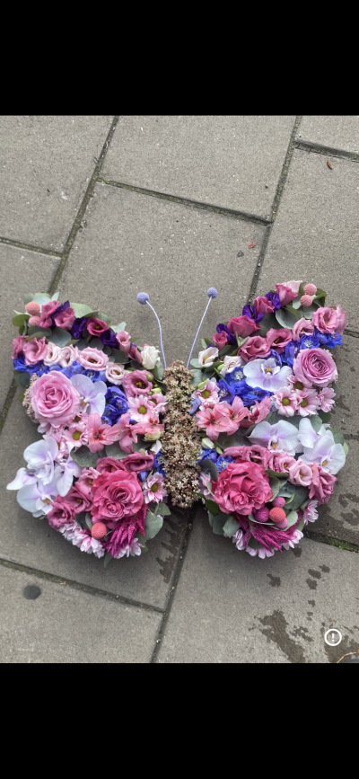 Pink , purple, white butterfly - A beautiful, detailed butterfly in pink, purple and whites Pink , purple, white butterfly - A beautiful, detailed butterfly in pink, purple and whites