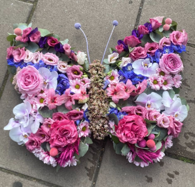 Pink , purple, white butterfly - A beautiful, detailed butterfly in pink, purple and whites