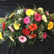 Casket Spray - Gerberas