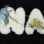 NAN - Carnations