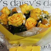 Yellow Roses