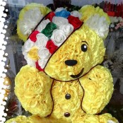 Pudsey Bear - 3D